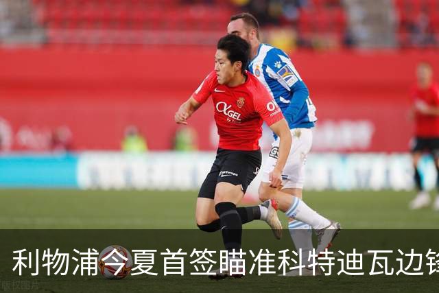 利物浦今夏首签瞄准科特迪瓦边锋 世界杯完爆枪手铁卫！